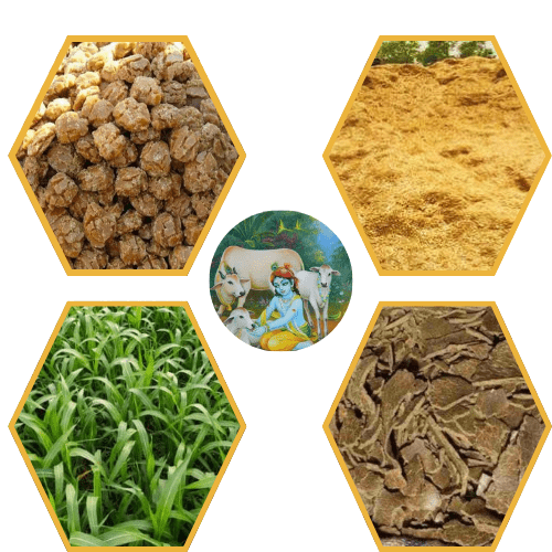 Care 4 cow : DONATE FOR FODDER KIT